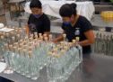 España, cuarto destino mundial de exportación de mezcal