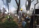 108 casos de dengue en Tuxtepec en lo que va del año