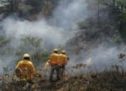 Solicita Gobierno del Estado declaratoria de emergencia para nueve municipios afectados por incendios forestales