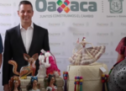 Gobierno de Oaxaca y Amazon ponen al alcance de todo el mundo las artesanías oaxaqueñas