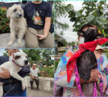 Inicio el registro de mascotas para la Jornada de Esterilización Canina y Felina en Tuxtepec