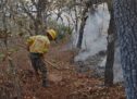 Combaten de manera crucial reactivación de incendio en Tepelmeme Villa de Morelos