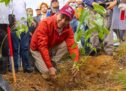 Arranca Mega Tequio de Reforestación en el Polígono de Monte Albán
