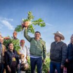 Reconoce Gobernador Salomón Jara fortaleza de la tradición de la Noche de Rábanos, cosechan más 14 toneladas del tubérculo